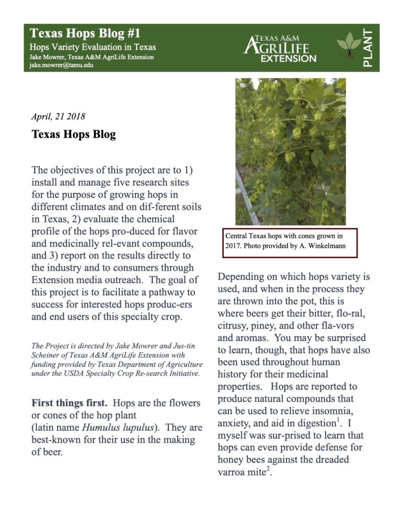 Hops Blog #1 PDF Cover Page